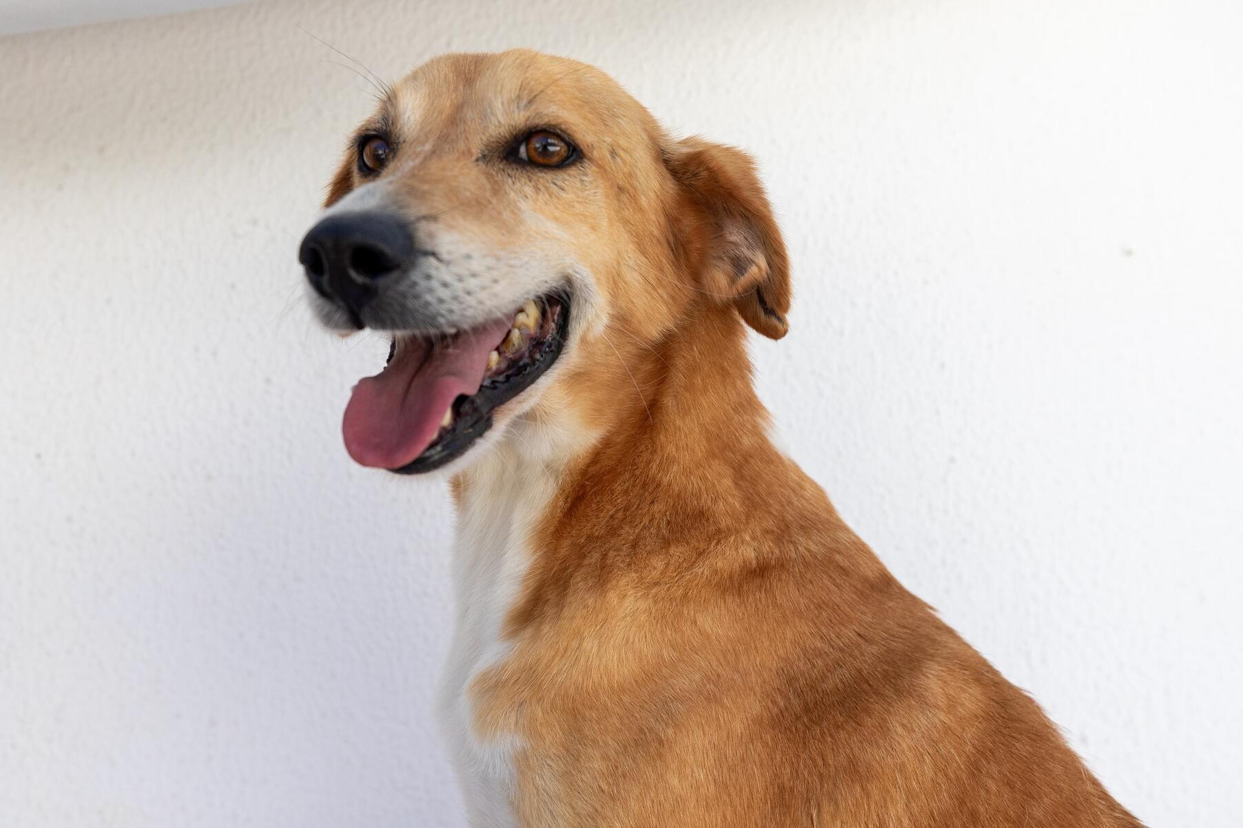 620094100235541_m___is_1787_min