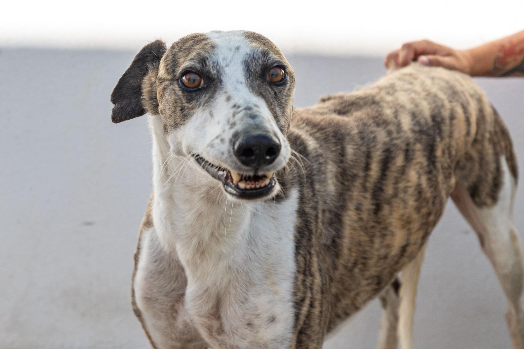 620094100247472_m___is_1926_min_1_2500_2500