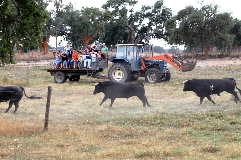 Img 3370 h dias 1 1024 2500