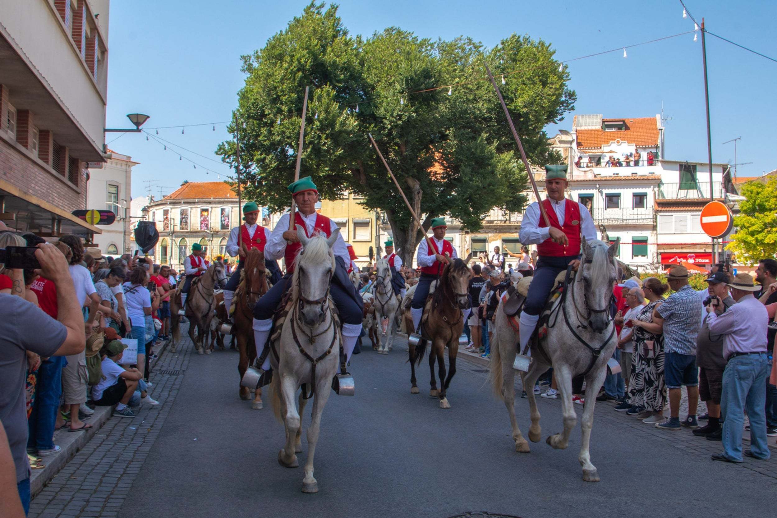 desfile_hd_1478_min