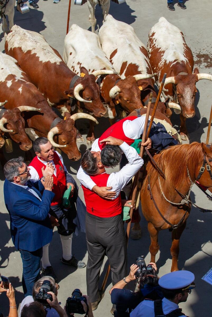 53850956342_49d8e2ef16_k_min