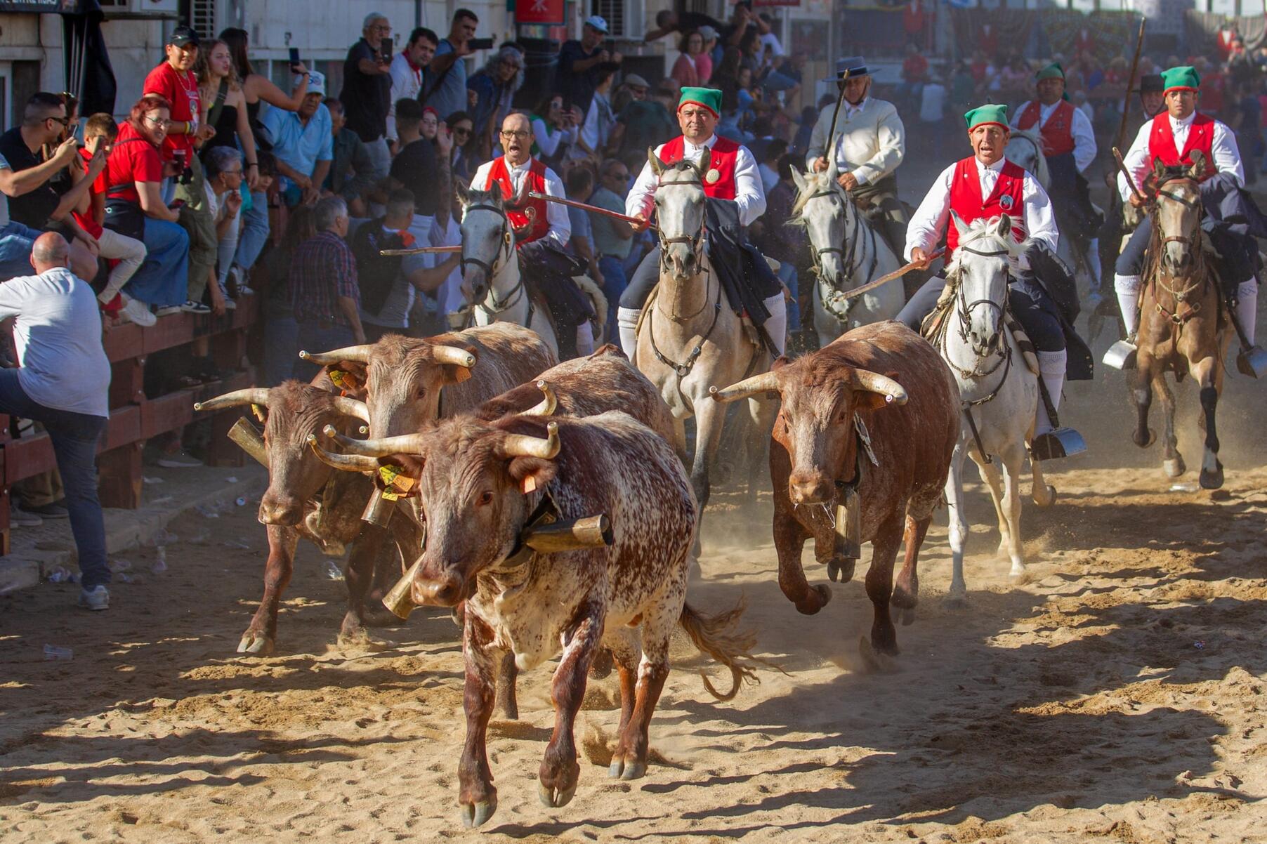 53852102563_2e18d59f6f_k_min