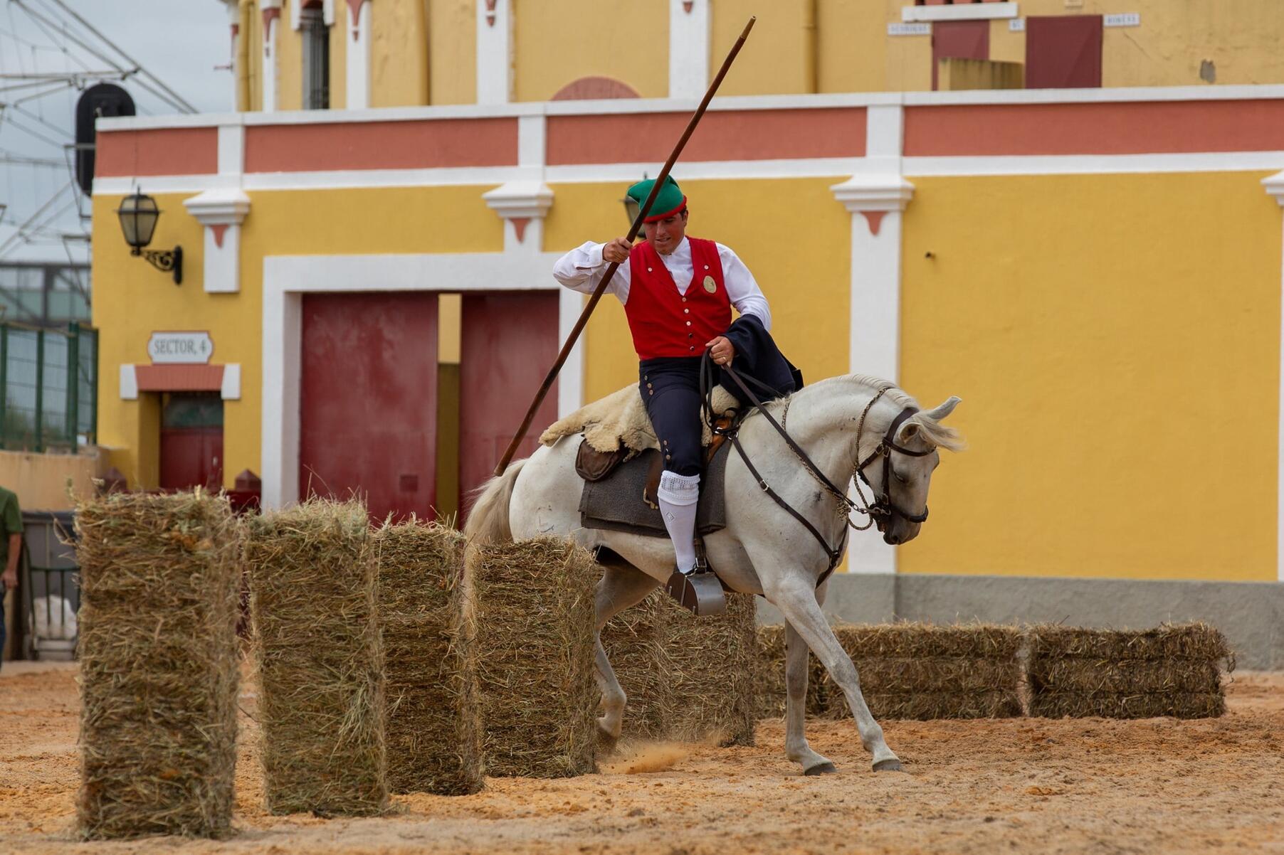 53852109643_37ebb3e2d6_k_min