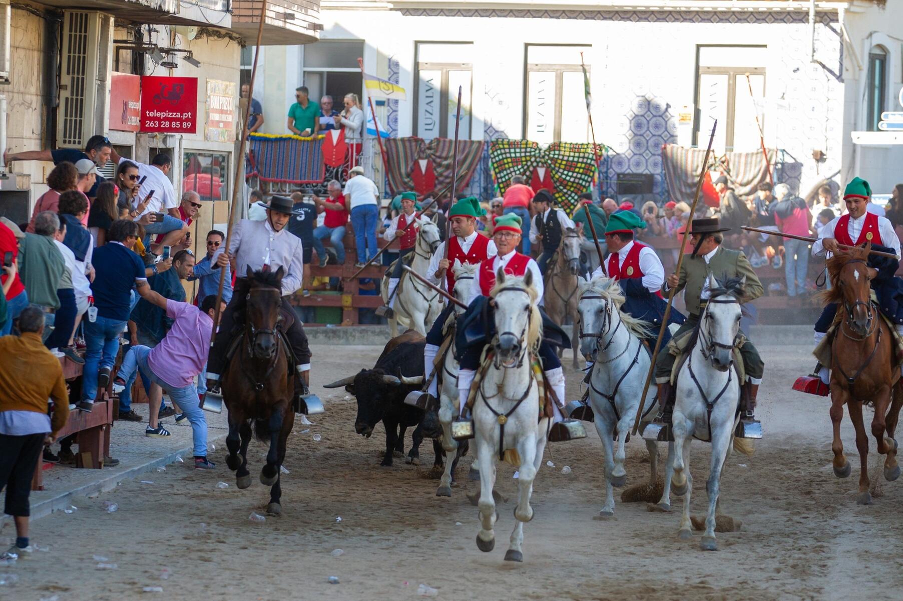 53852204864_4db35d298c_k_min