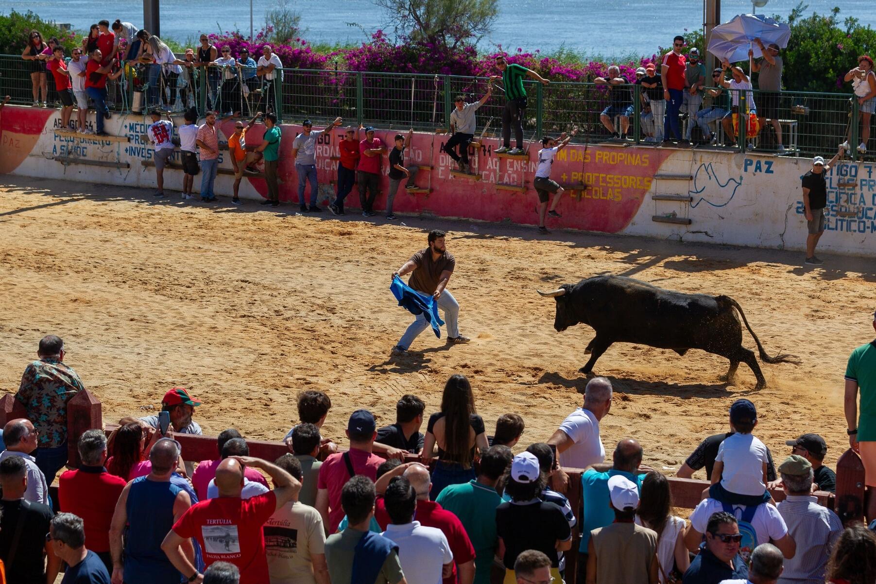 esperas_ce_7_24_mm_4566_min