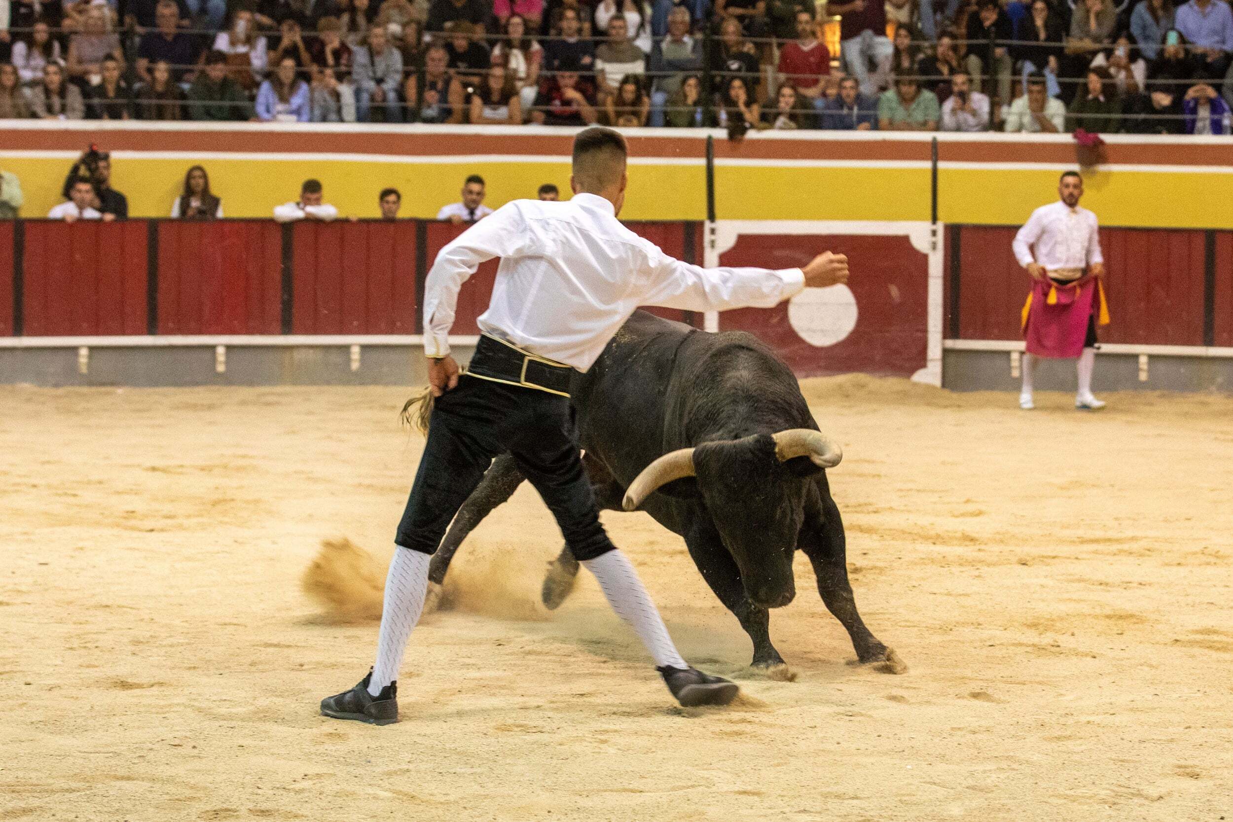 recortadores_fao25_mm_7010_min