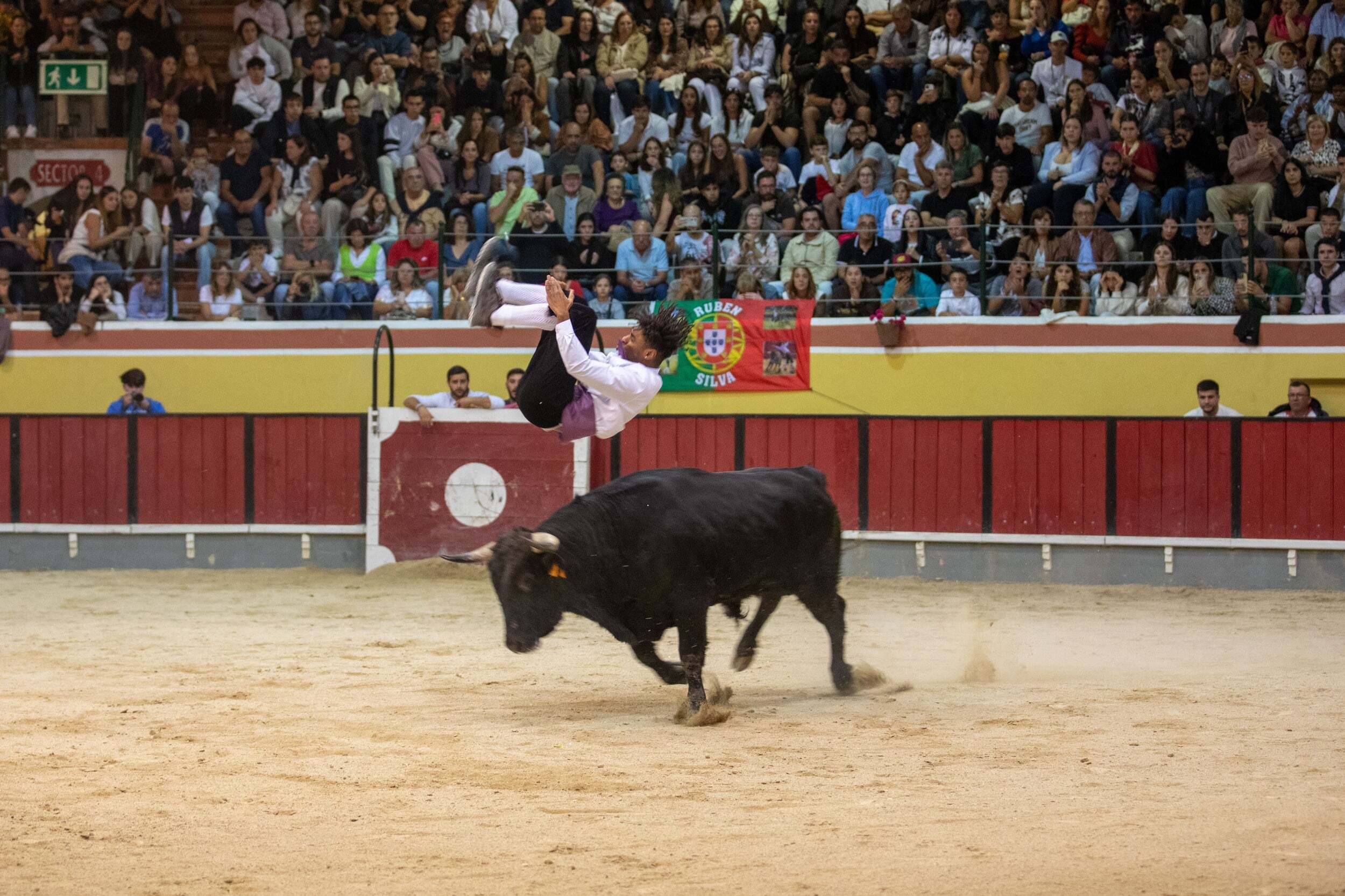 recortadores_fao25_mm_6939_min