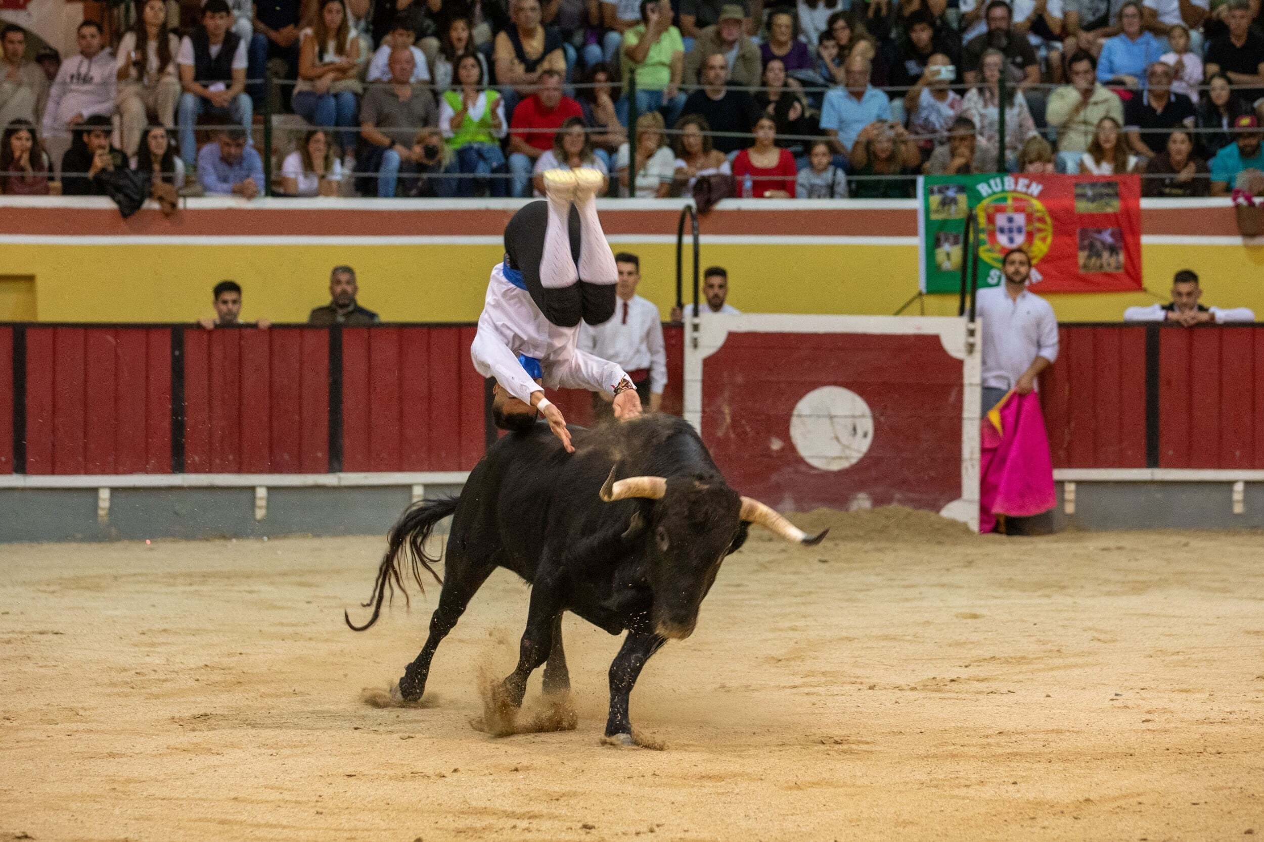 recortadores_fao25_mm_6882_min