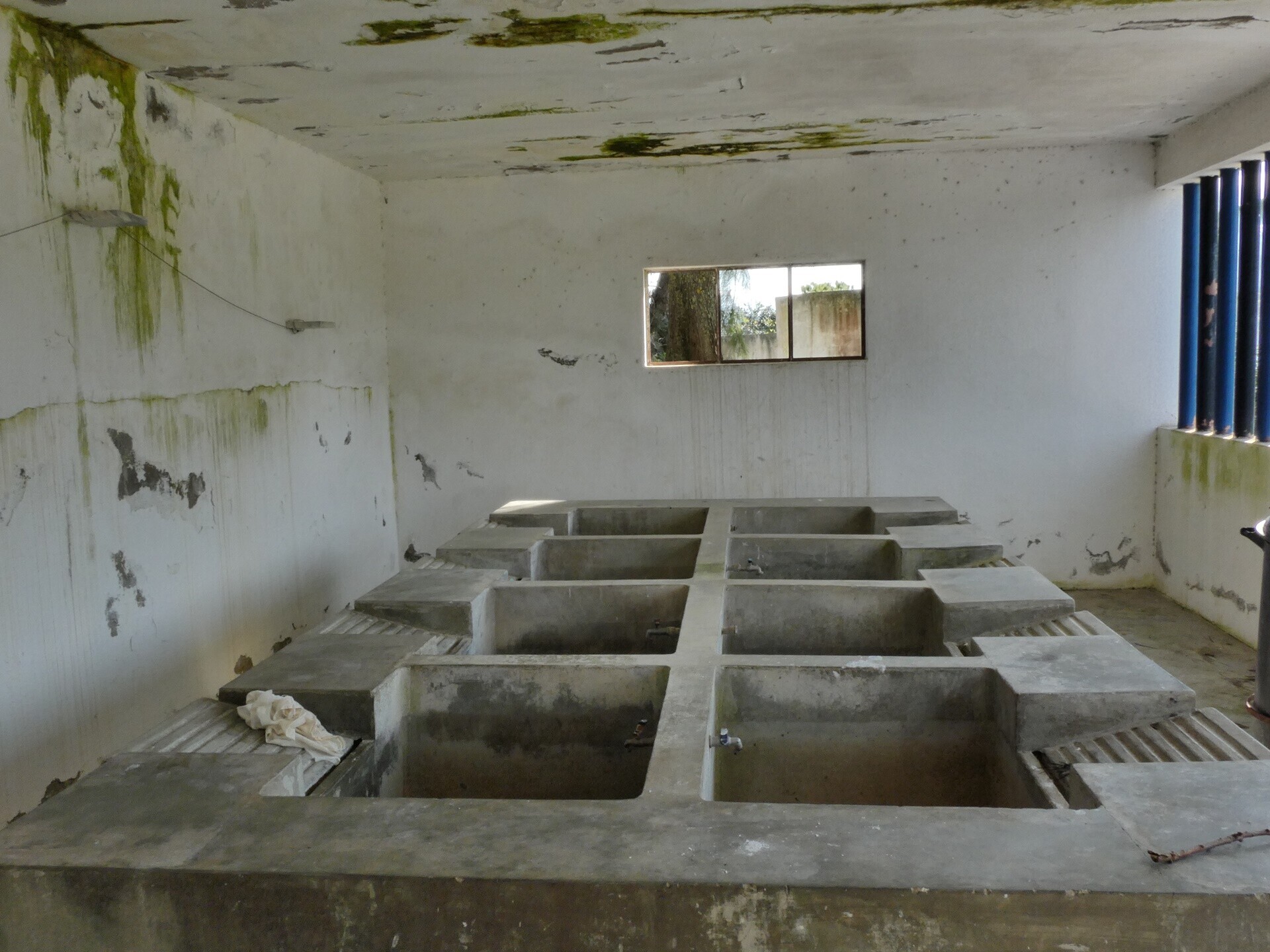 calhandriz___adanaia___lavadouro_da_adanaia_002