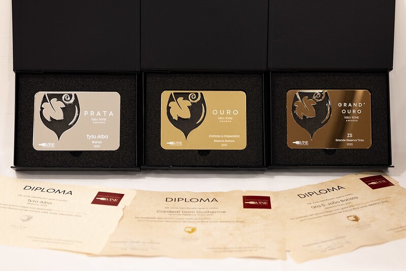 54923027226_e4a9989ac5_c