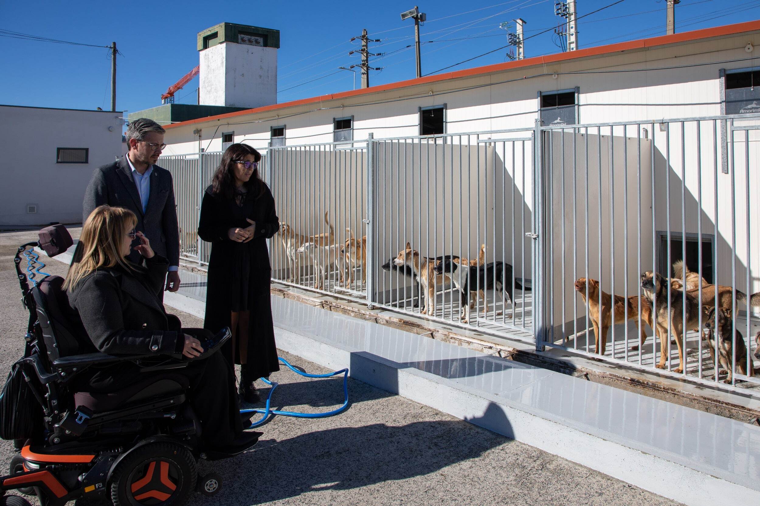 54932502205_bc4762a6c4_o_min