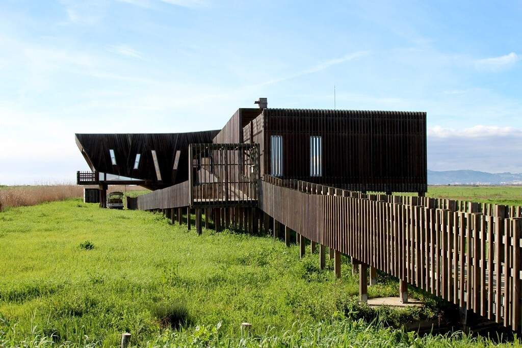 0x0a6188_h_dias_14_02_2020_1_2500_2500