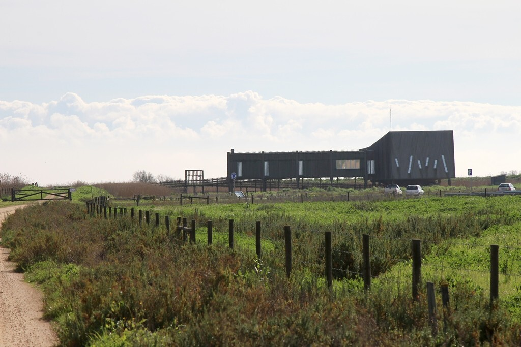 0x0a6172_h_dias_14_02_2020_1_2500_2500