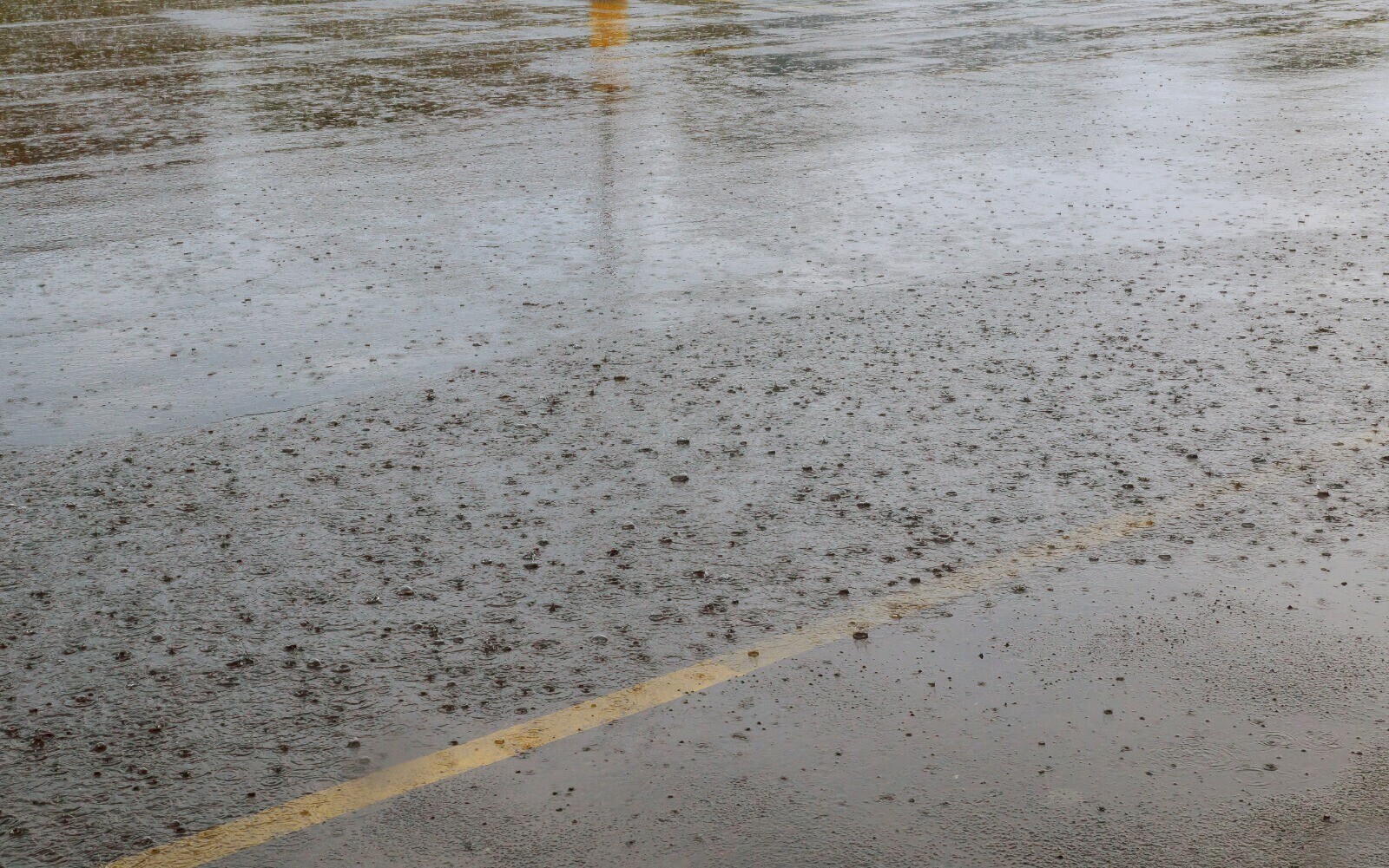 whatsapp_image_2026_02_07