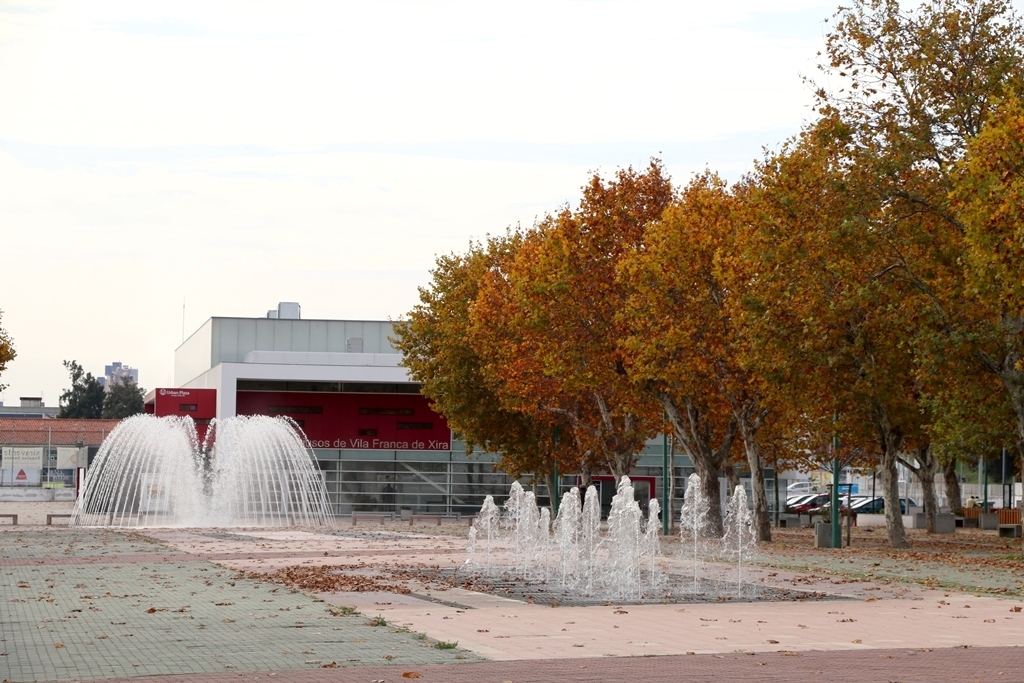 Img 2331 r caetano 21 11 2017 1 1024 2500