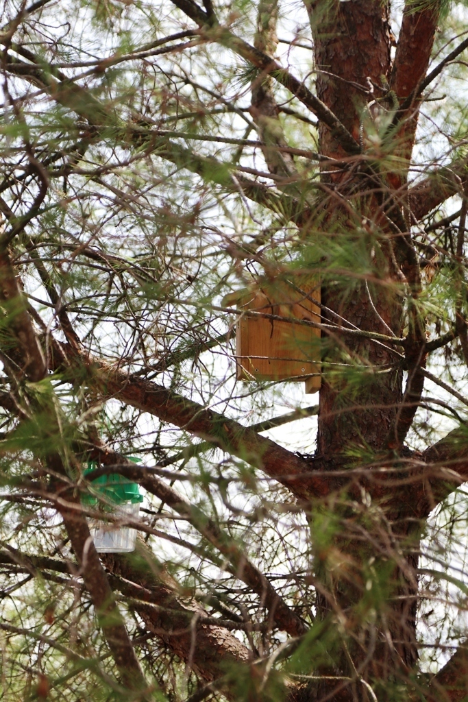 Img 0787 1 1024 2500