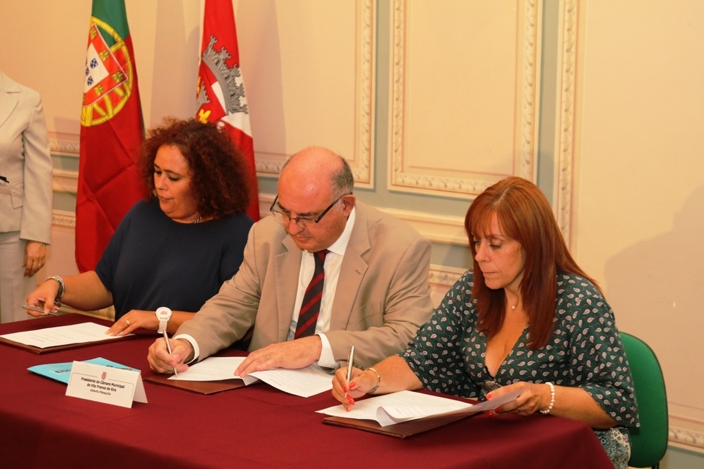 Img 1075 1 1024 2500