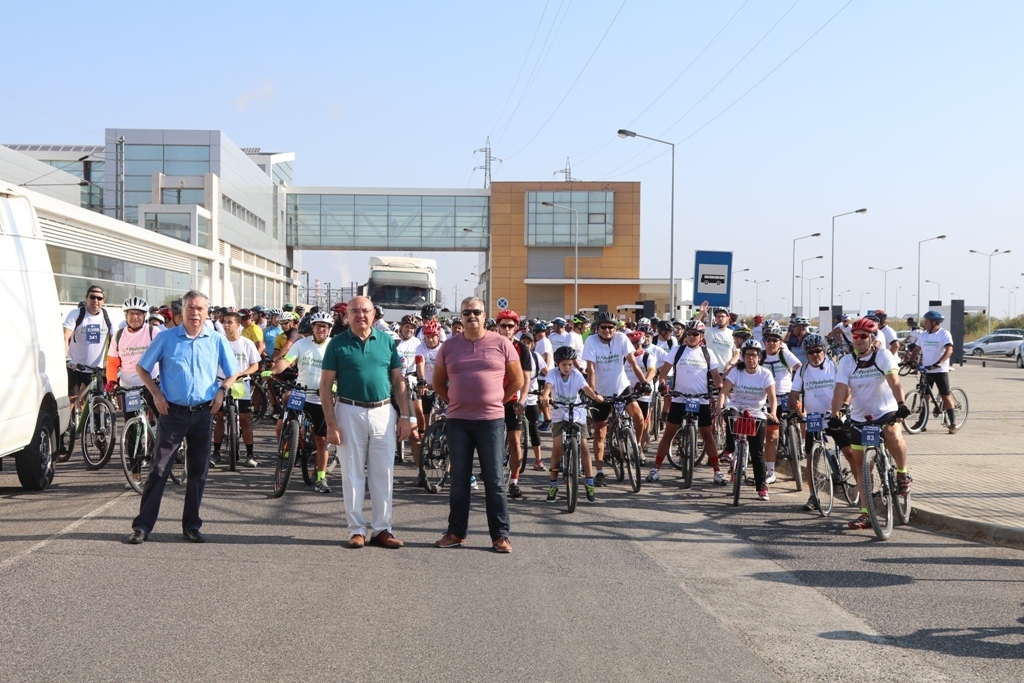 Img 0147 1 1024 2500