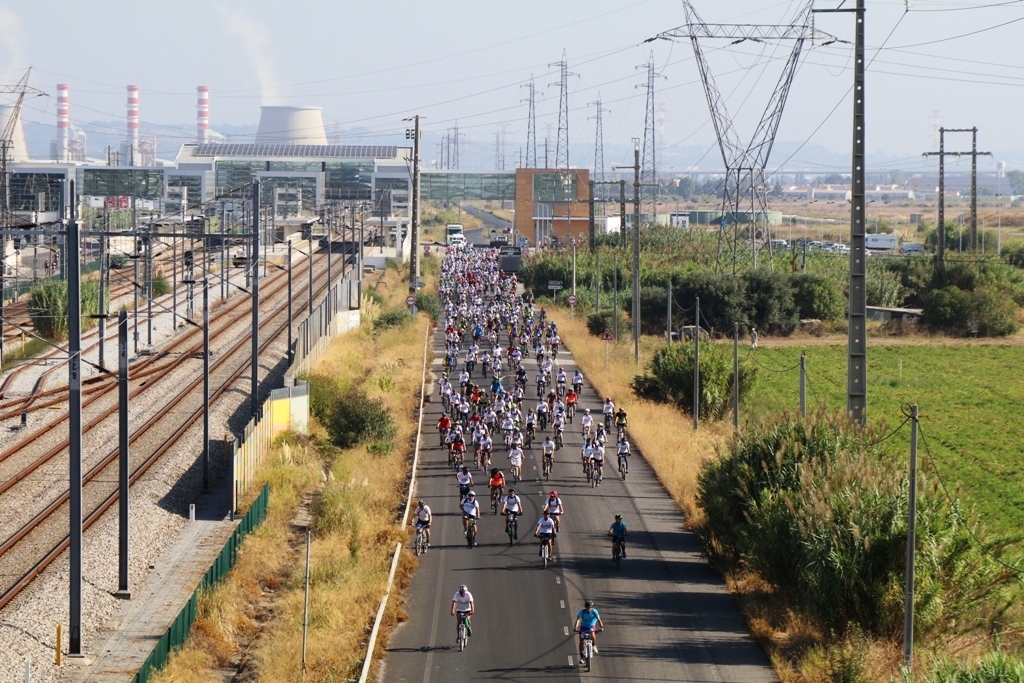 Img 0174 1 1024 2500