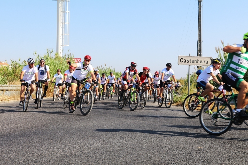 Img 0200 1 1024 2500