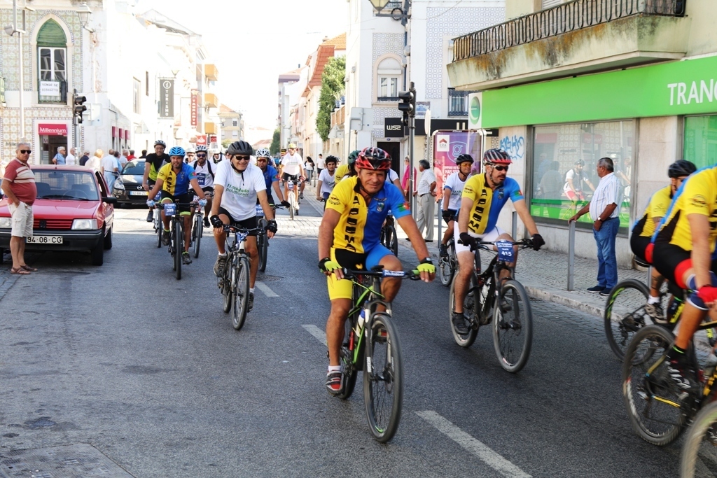 Img 0299 1 1024 2500