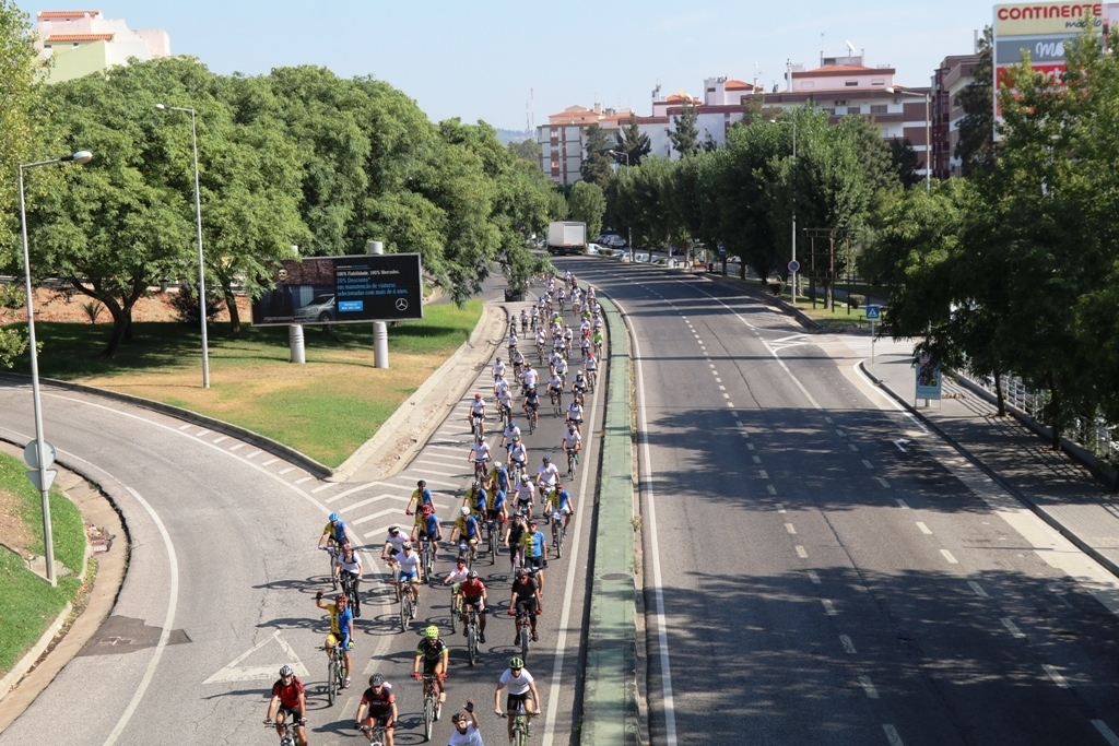 Img 0388 1 1024 2500