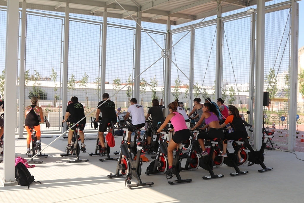 Img 0466 1 1024 2500