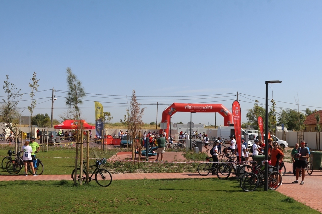 Img 0554 1 1024 2500