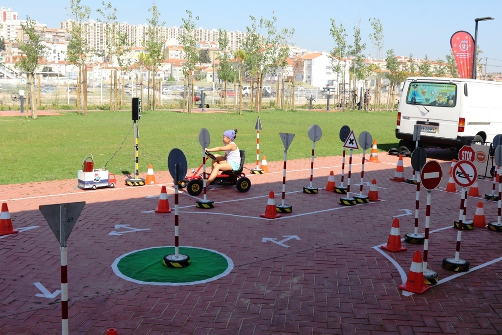 Img 0563 1 1024 2500