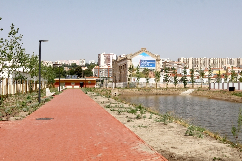 Img 7460 v cartaxo 8 06 2018 1 1024 2500