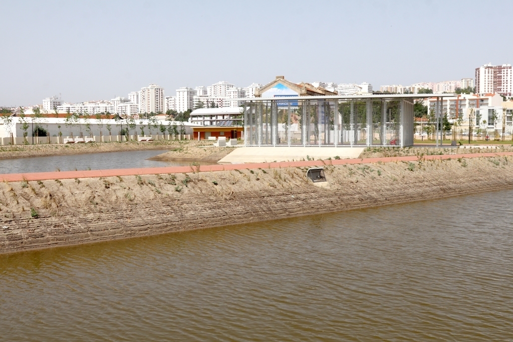 Img 7629 v cartaxo 8 06 2018 1 1024 2500