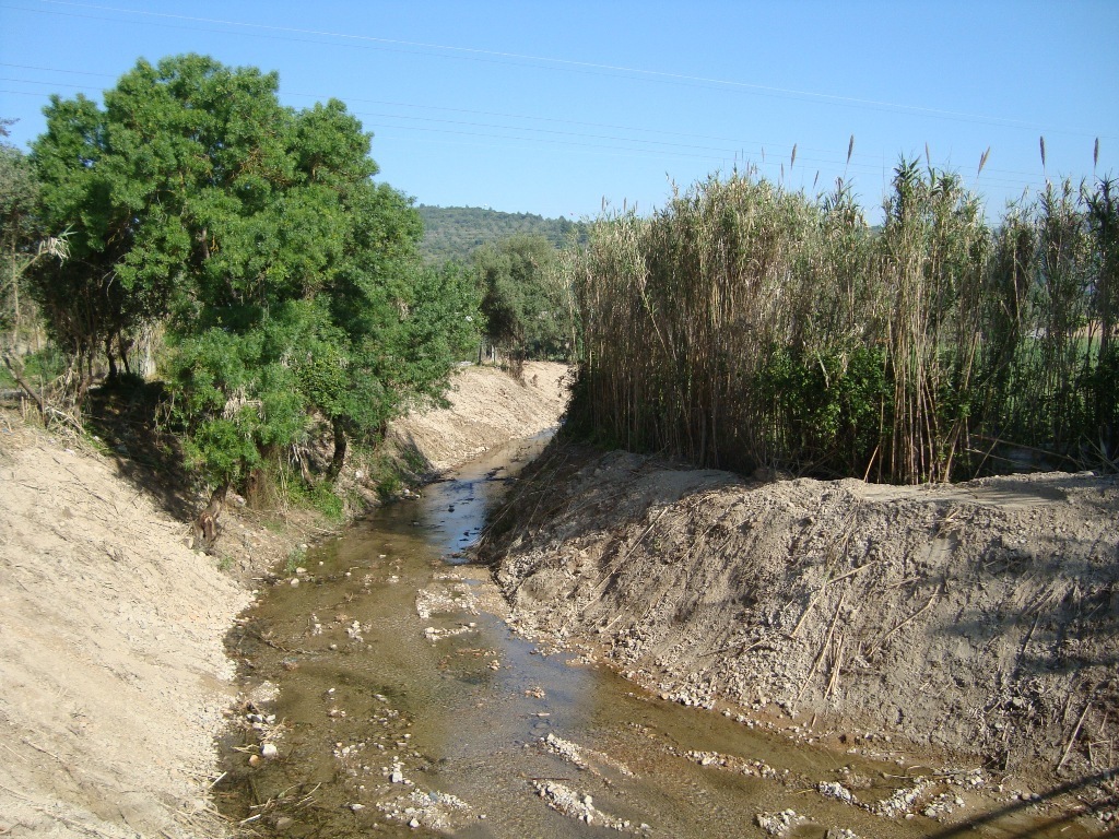 Dsc03145 1 1024 2500