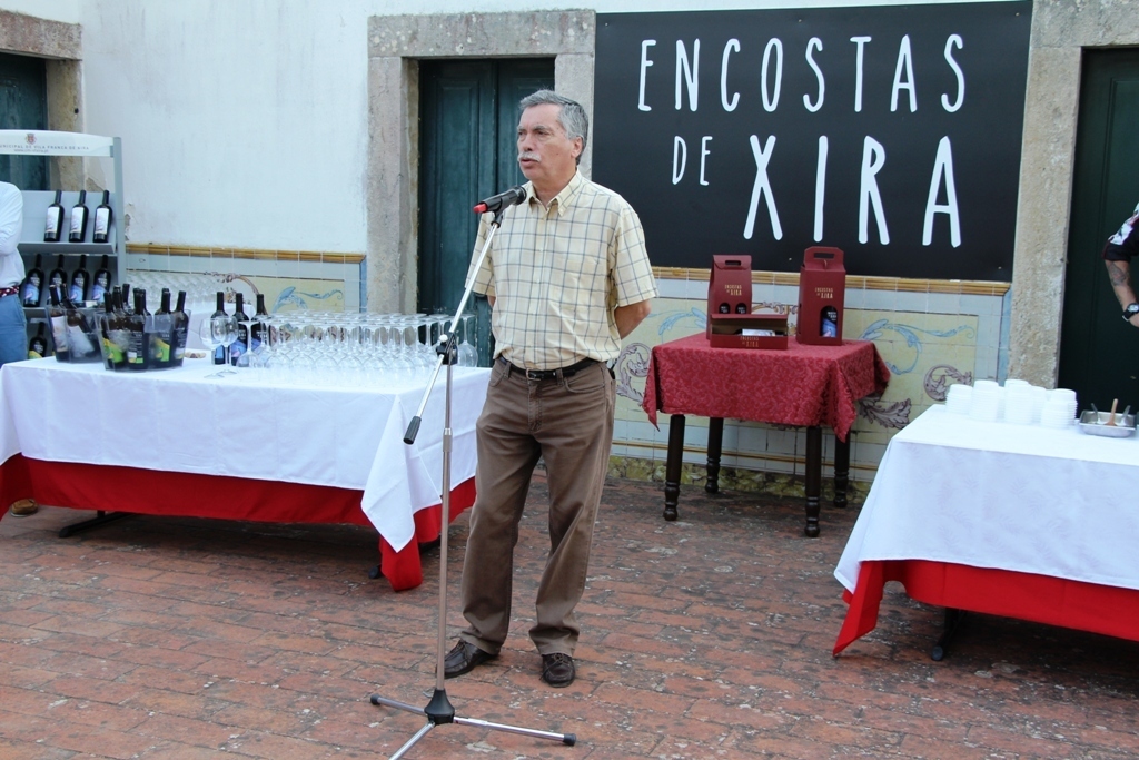 Img 2305 1 1024 2500