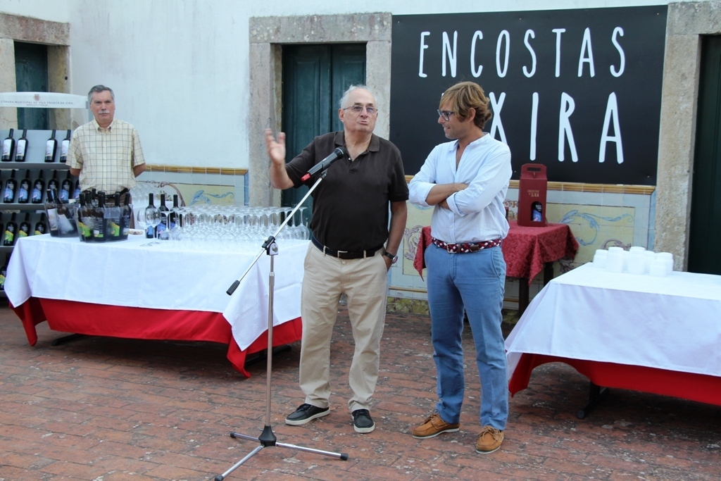 Img 2315 1 1024 2500