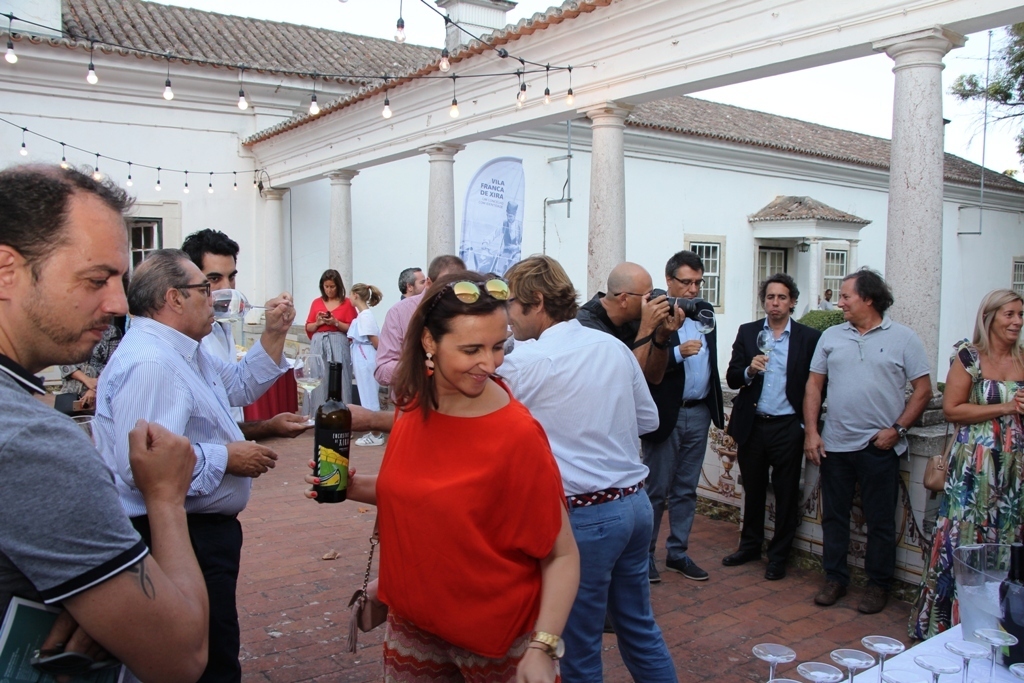 Img 2322 1 1024 2500