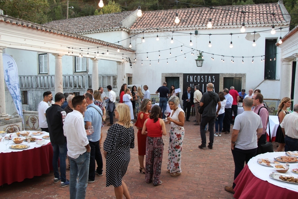 Img 2346 1 1024 2500