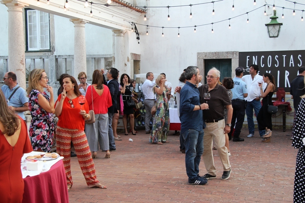 Img 2362 1 1024 2500