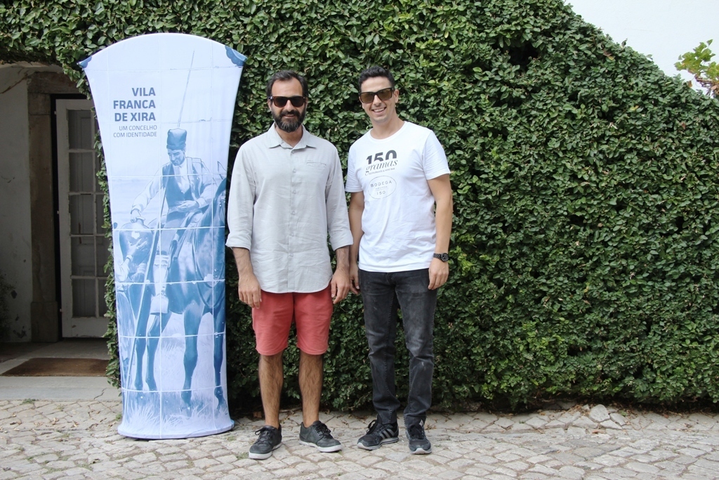 Img 2278 1 1024 2500