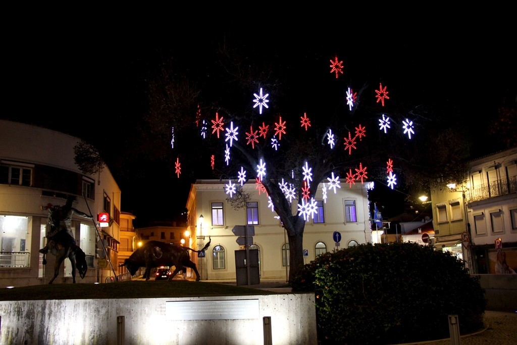 img_3222_h_dias_27_11_2020