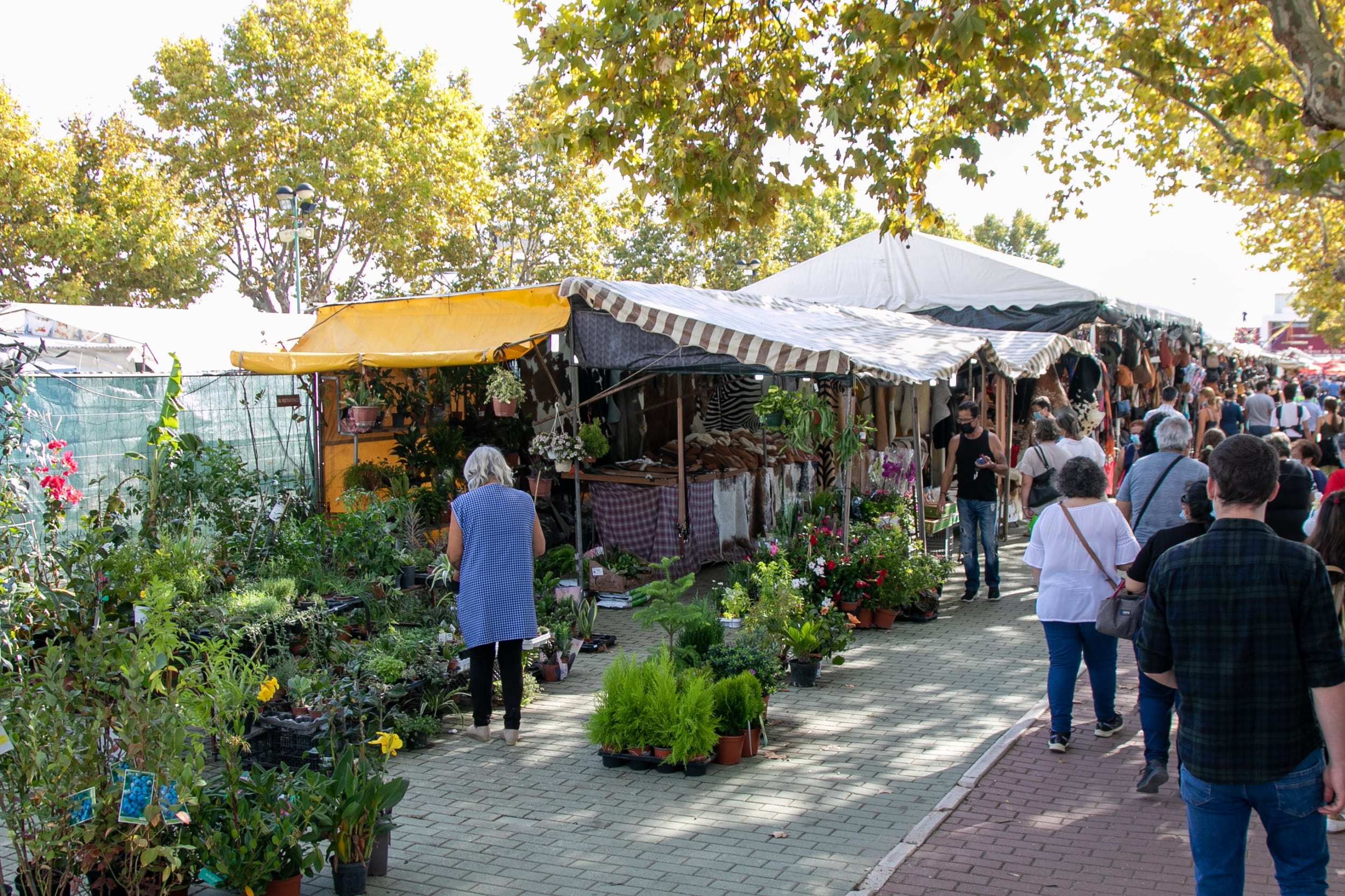 feira_anual_10_10_21_vc_2461_min