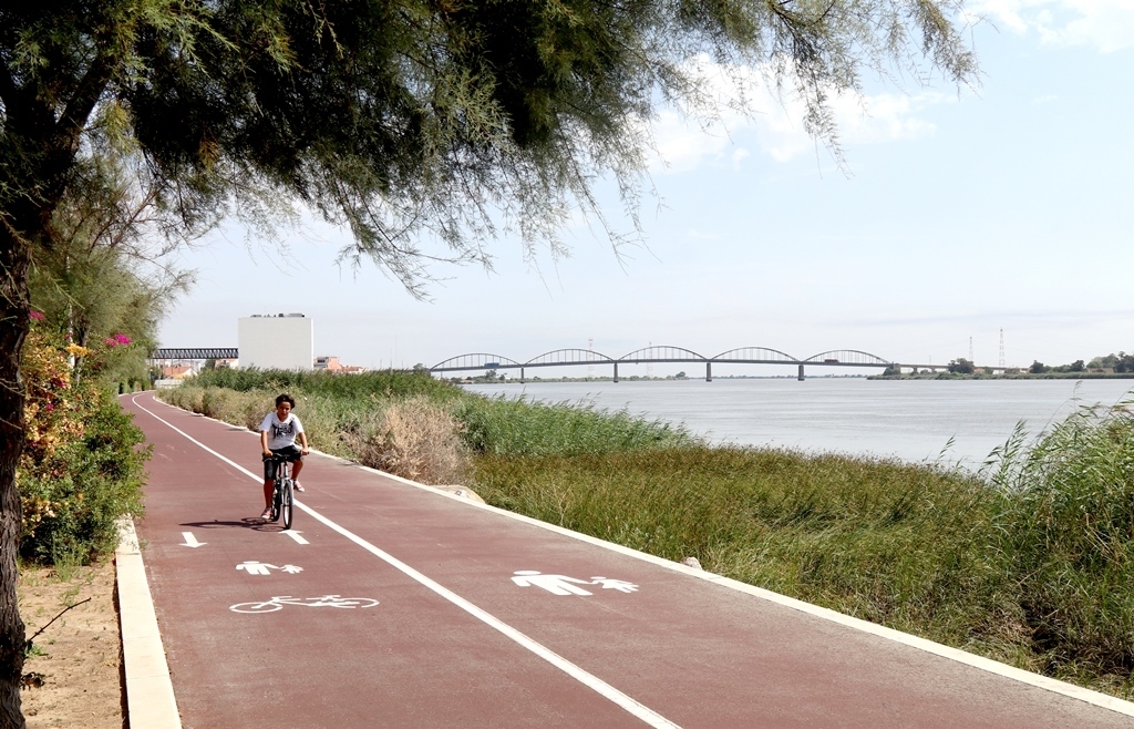 Caminho_Pedonal_Ribeirinho_Alhandra___Vila_Franca_de_Xira