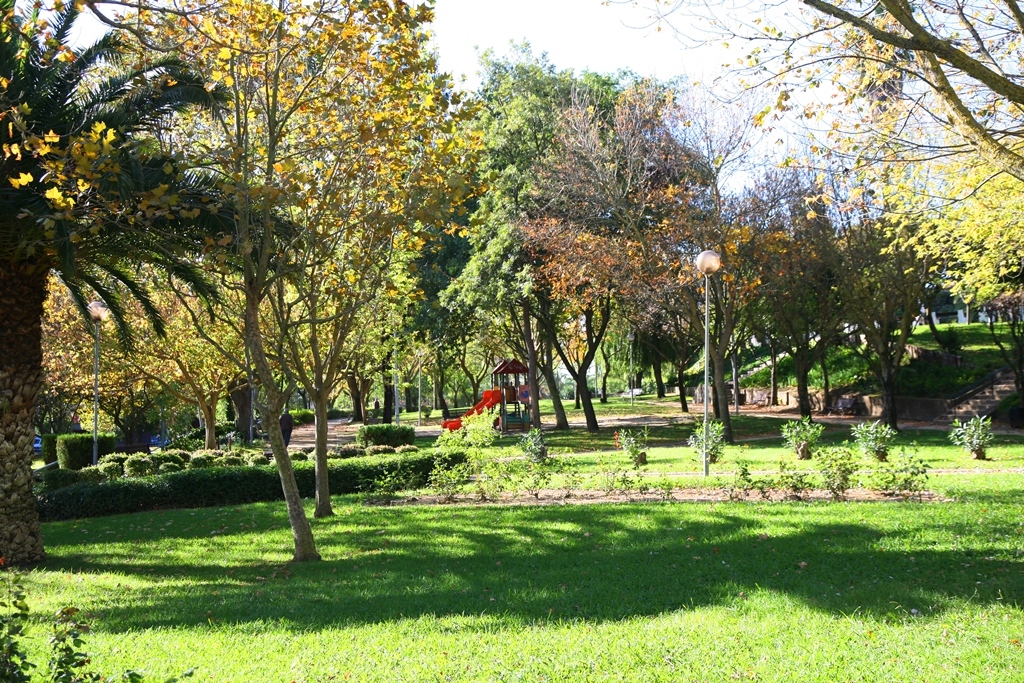 IMG_7044_V_Cartaxo__18-11-2013