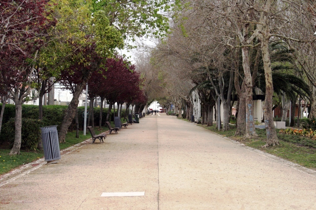 IMG_9689_Carlos__vora_18-03-2015