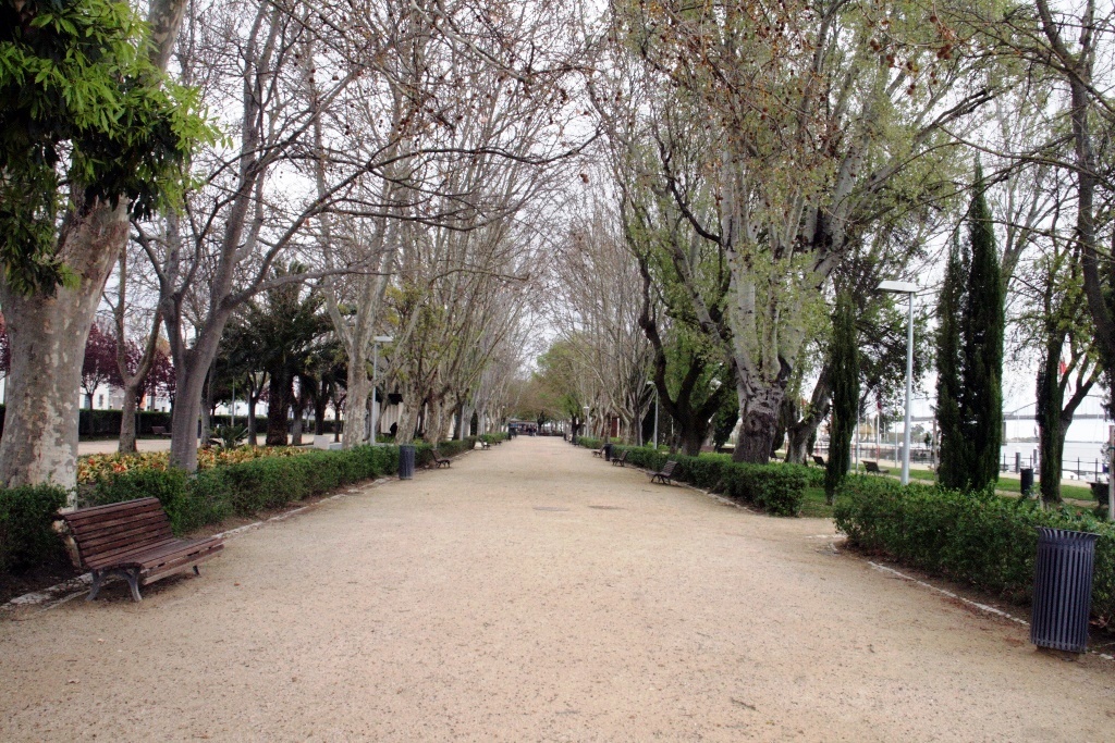 IMG_9691_Carlos__vora_18-03-2015