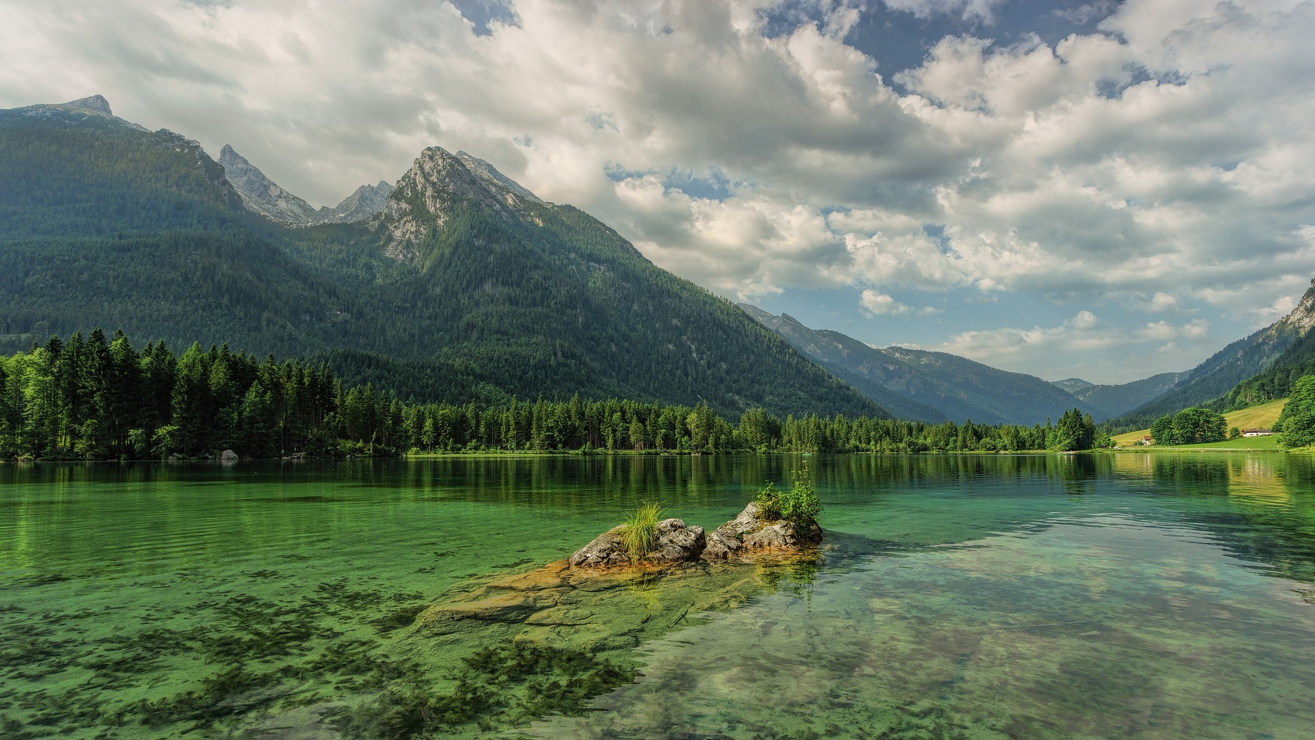 A Lorem ipsum dolor sit amet consectetur adipiscing elit metus at eleifend ultrices, mi augue pul...
