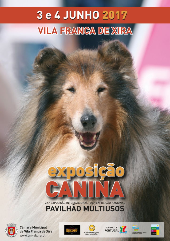 Pavilhão Multiusos será a passerelle da 22.ª Exposição Internacional Canina