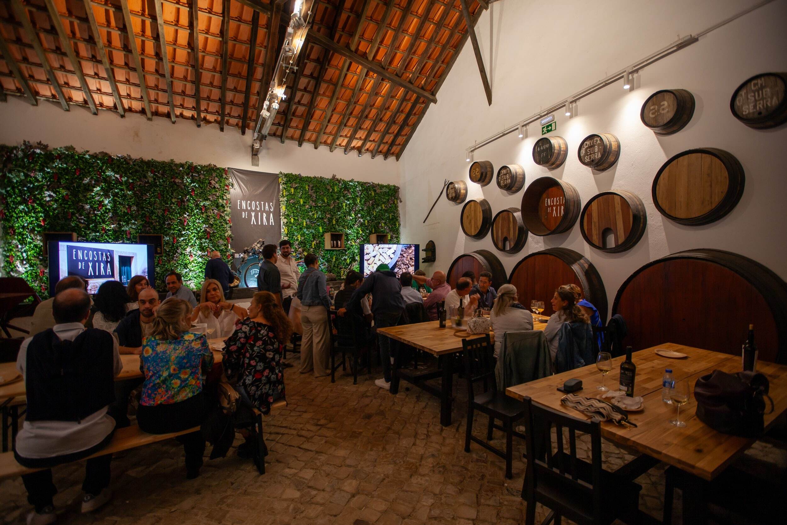 Encostas de Xira – Experience