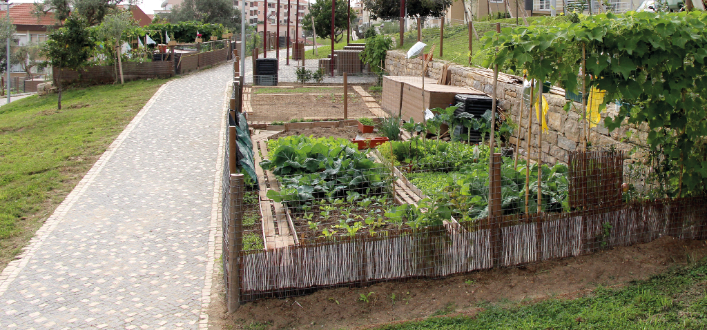 Reparações nas Hortas Urbanas da Póvoa de Santa Iria