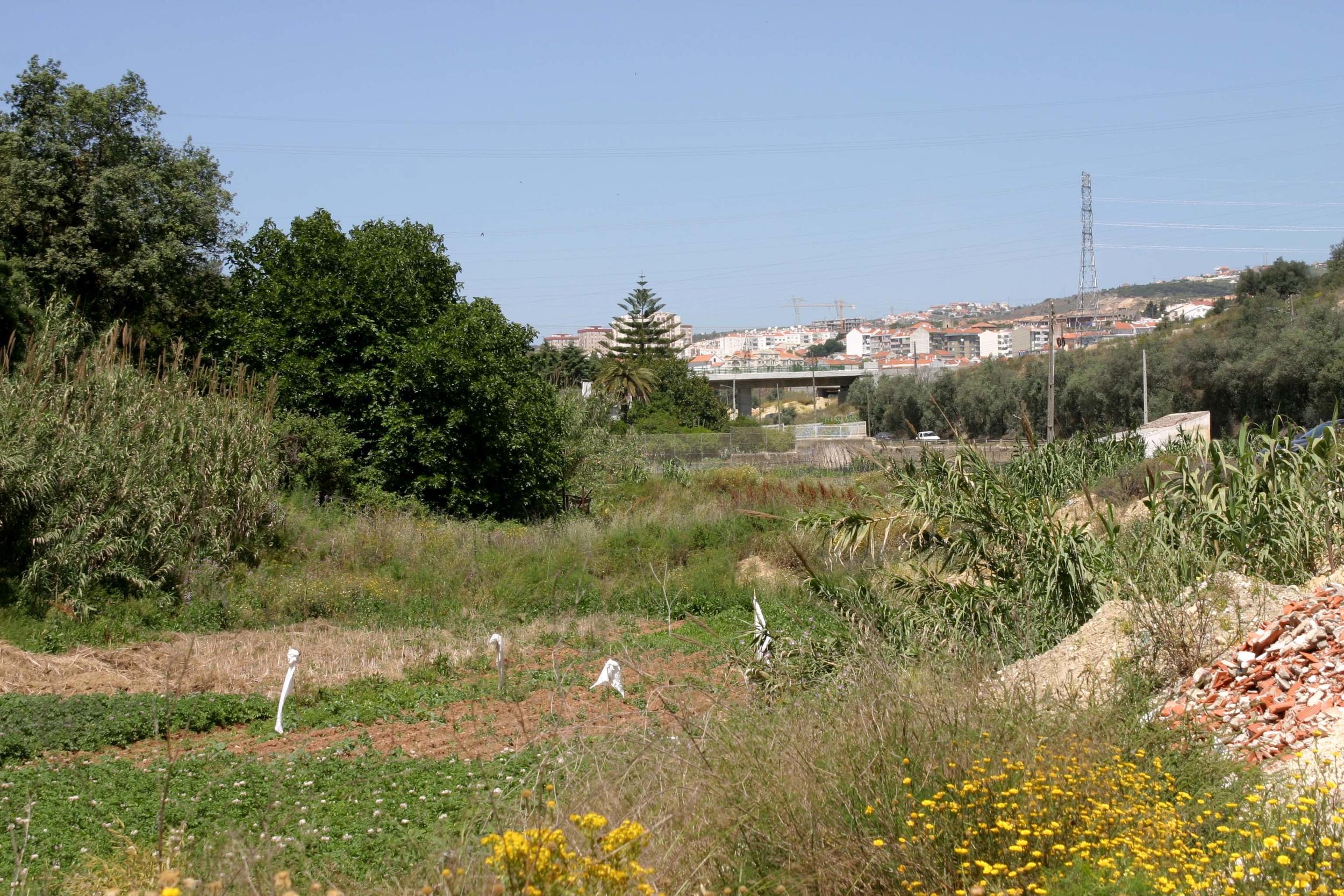 Câmara Municipal de Vila Franca de Xira assegura limpeza de linhas de água no Concelho