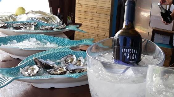 Vinho “Encostas de Xira” destacou-se em evento gastronómico realizado em Aveiro